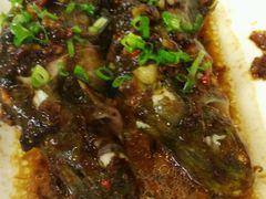 豉汁蒸黄骨鱼-和乐喜宴海鲜酒家(骏荣广场店)