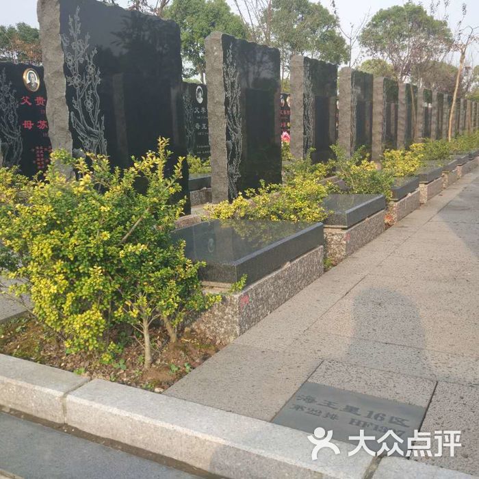 浦东汇龙园墓地图片