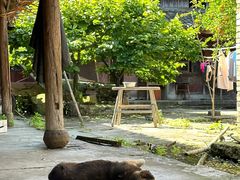 -东钱湖旅游度假区