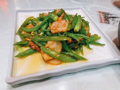 -黑蚂蚁(南河店)