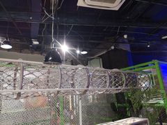 -zoonana室内动物园(东方福来德店)