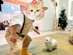 点击看大图 -幺幺BABY婚纱摄影