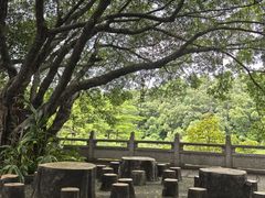 -广州莲花山旅游区