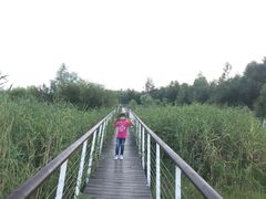 -哈尔滨大剧院