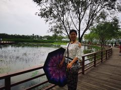 -绿堤公园