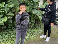 -云里小坐·小院里·团建·宴请·下午茶(三圣乡店)