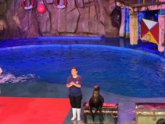 -烟台海昌鲸鲨海洋公园