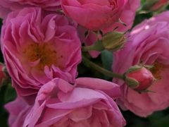 -人民公园(罗湖区)