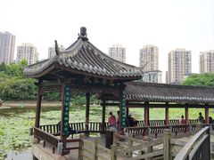 -龙头寺公园