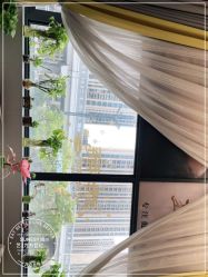 -尚艺造型.剪烫染.接发