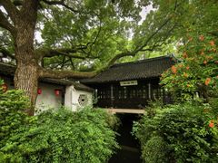 -上海醉白池公园