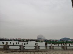 -野狸岛