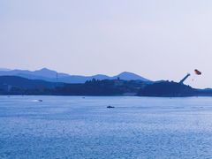 -望湖烤鱼