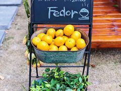 -肥朵食堂(带梦胡同店)