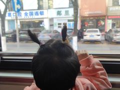 -东莞植物园