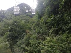 -老界岭旅游度假区