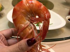 -益利大酒楼(井岸店)