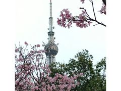 -文华公园(禅城区)