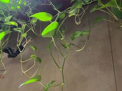 -万记麻辣烫国展总店