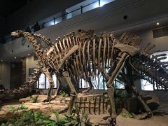 -自贡恐龙博物馆