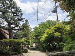 -三千院