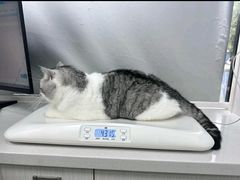 -博特宠物医院24h犬猫全科.骨科·异宠