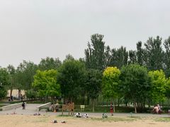 -东郊湿地公园