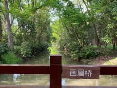 -上海滨江森林公园
