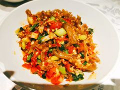 鸭掌筋-壹盏灯(蚂蚁工房店)