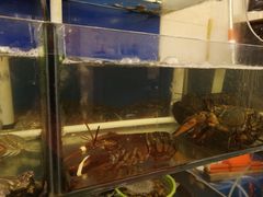 -渔中舟海鲜大排档(普陀沈家门店)