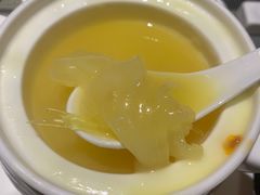 -半岛翡丽海鲜自助餐厅(观风亭店)