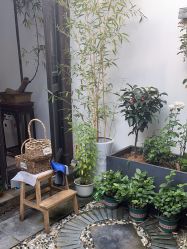 -与苏记•苏式美学汉服体验馆