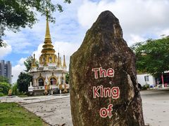 -瑞丽独树成林风景区