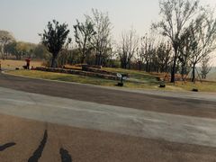 -盘龙城国家考古遗址公园