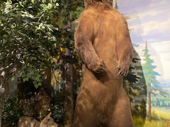 -陕西自然博物馆