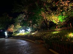 -合肥融创乐园