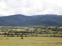 狼毒花开-第三极国际青旅(独克宗古城店)