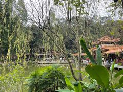 -深圳仙湖植物园