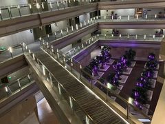 -南京禄口机场雅高铂尔曼大酒店