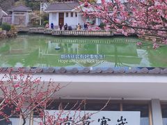 -无锡梅园公园