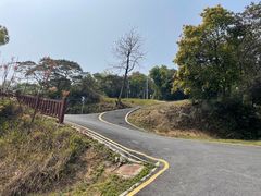 -黄埔油麻山森林公园