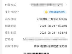 -刘飞放心无铝油条(阳光翠竹苑店)