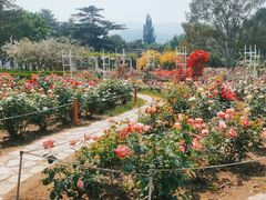 -国家植物园南园