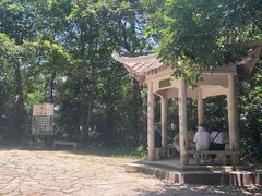 -紫金山山顶公园