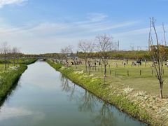 -嘉北郊野公园