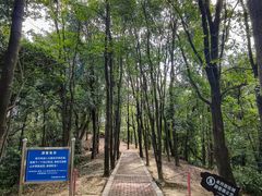-天鹿湖森林公园