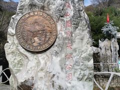 -王顺山国家森林公园
