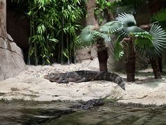 -上海海洋水族馆