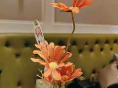 -汤城小厨•粤菜•靓汤(西直门凯德MALL店)