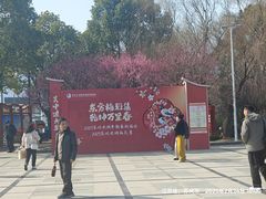 -香雪海